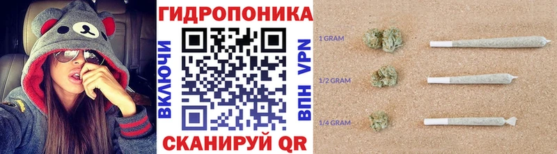 ГАШ Красногорск