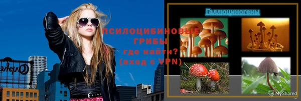 ешки Лабытнанги