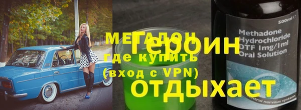 МДПВ Бородино