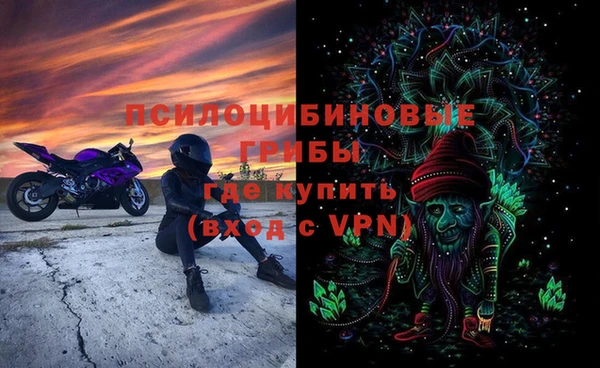 герыч Ладушкин
