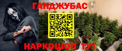 гидра Гусев