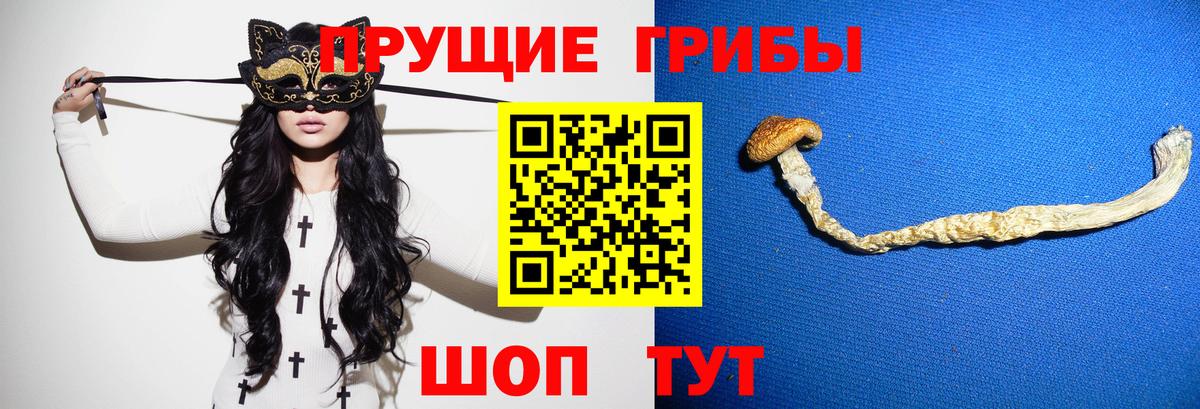 Галлюциногенные грибы мицелий  продажа наркотиков  Красногорск 