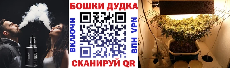 дарнет шоп  площадка Telegram  Конопля SATIVA & INDICA  Красногорск 